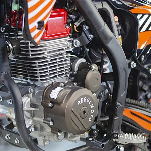 Мотоцикл Regulmoto ZR PR 300 4 valves 5 gear (Черный/ оранжевый)