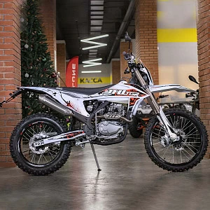 Мотоцикл JHL ELX300 (4T 175FMM) 21/18